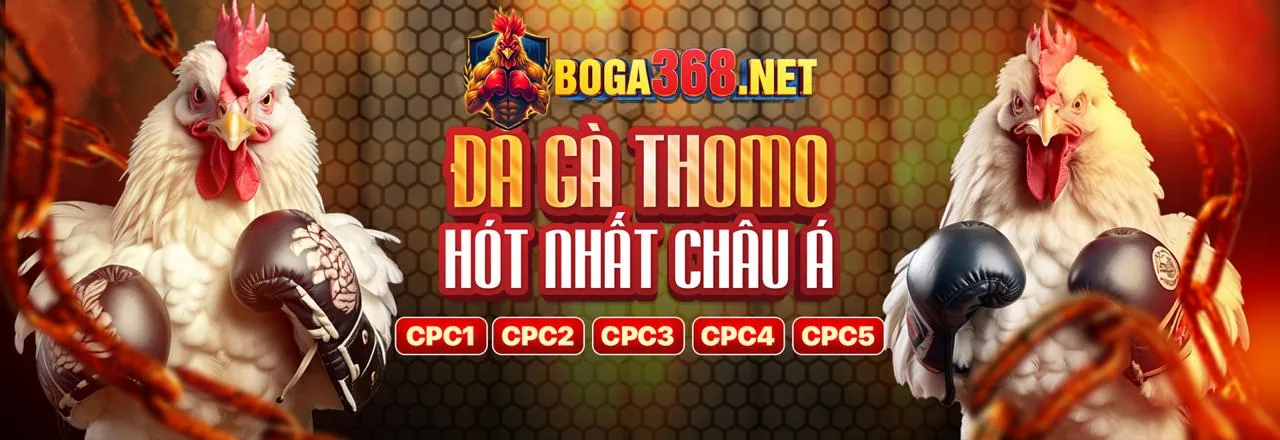 Đá gà trực tuyến kịch tính tại kuwin1 nhà cái